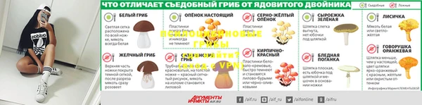 spice Приозерск
