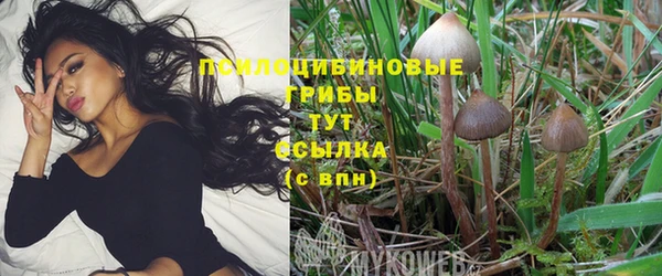 трава Бородино