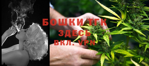 mdpv Протвино