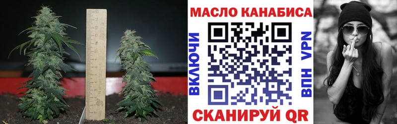 наркота  omg зеркало  ТГК гашишное масло  darknet телеграм  Тобольск 